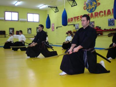 4º curso de iai y jodo celebrado en Manzanares
